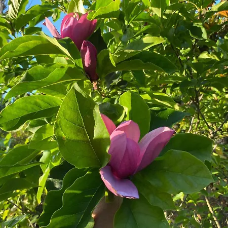 Bed & Breakfast Michela Baronissi